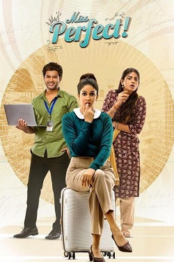 Miss Perfect Season 1 (2024) Hindi Web Series Complete All Episodes WEBRip ESubs 1080p 720p 480p Download